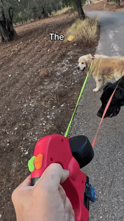 Double Dutch 360° Anti-Tangle Leash